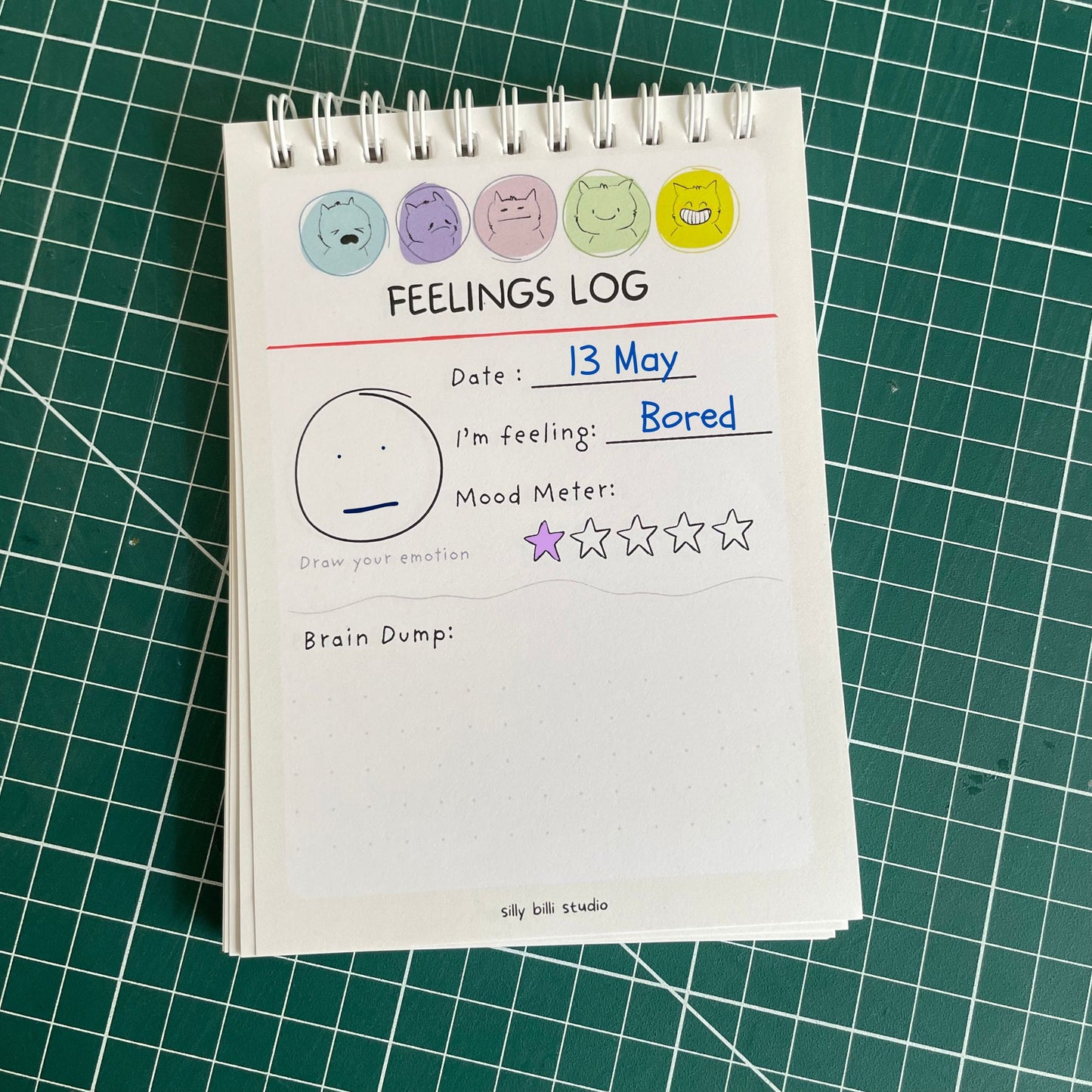 Feelings log notepad for emotional release