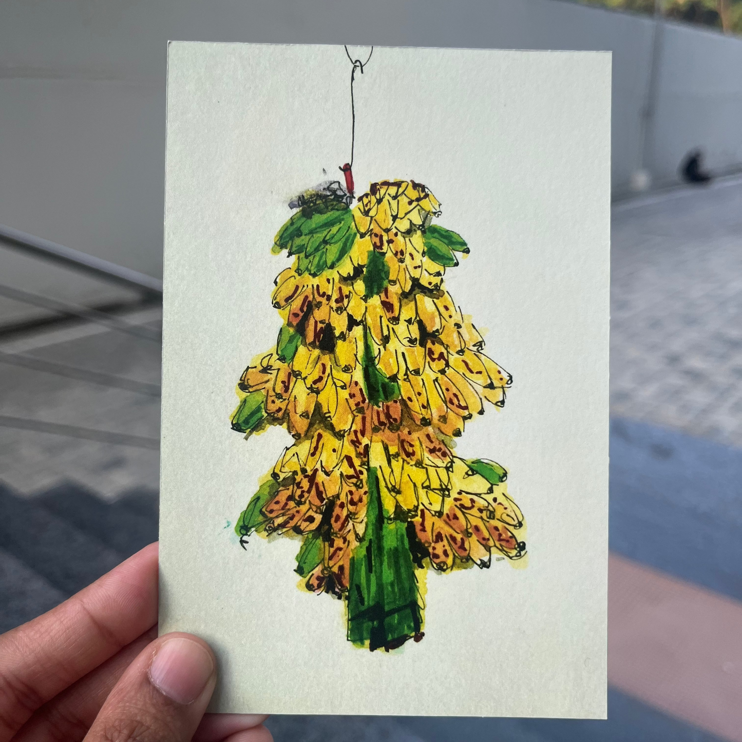 Bunch of Bananas