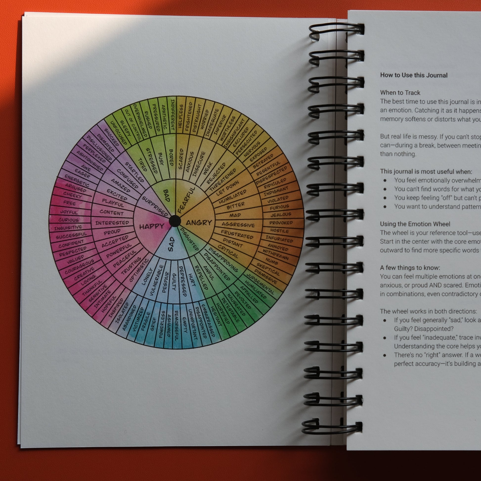 Emotions wheel page in The Carousel Never Stops Turning