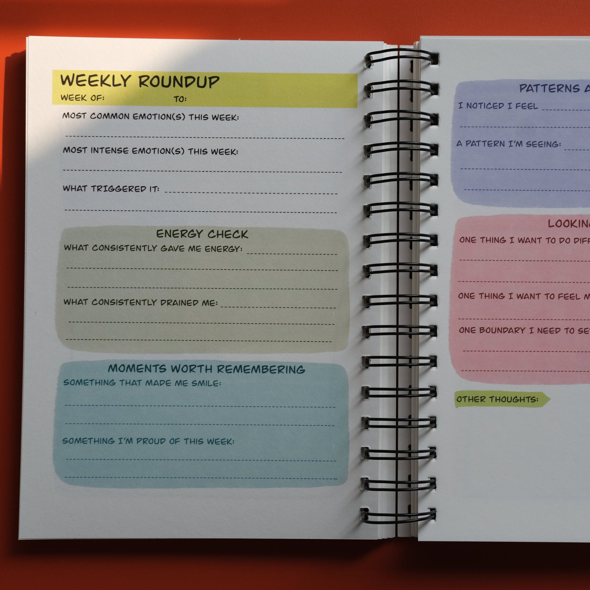 Weekly Roundup page spread in The Carousel Never Stops Turning