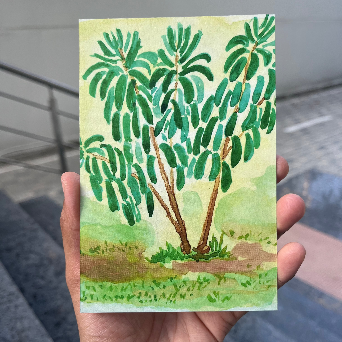 Cubbon Tree